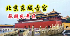 免费色色中国北京-东城古宫旅游风景区